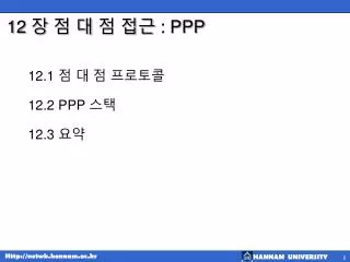 12 ppp