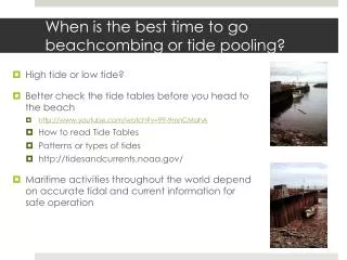 When is the best time to go beachcombing or tide pooling?