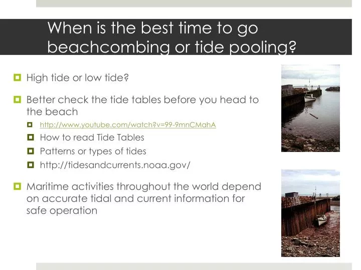 when is the best time to go beachcombing or tide pooling