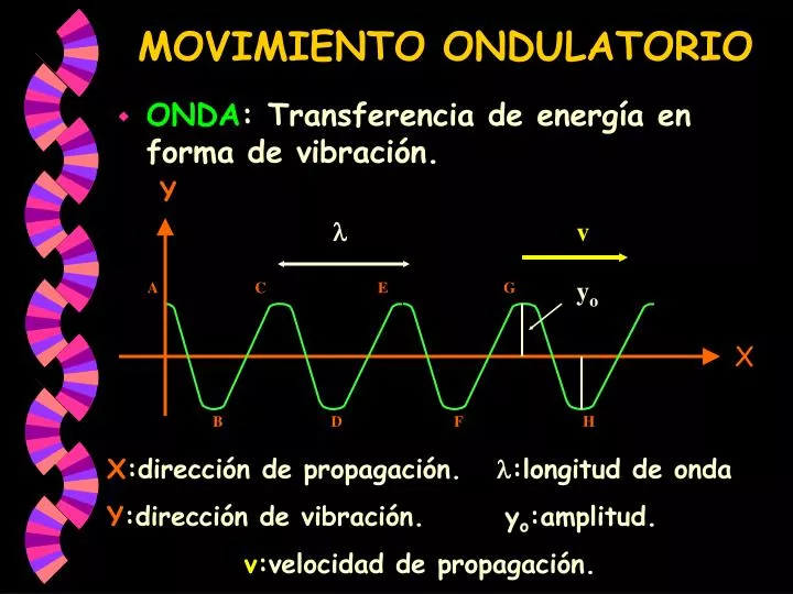 movimiento ondulatorio