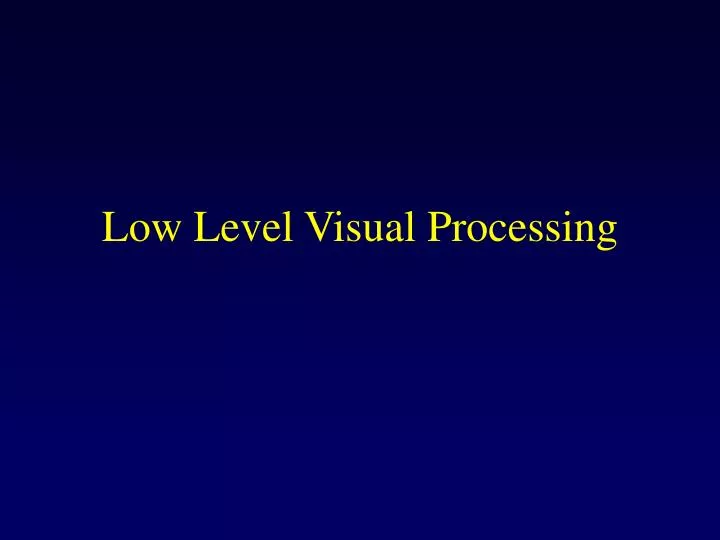 low level visual processing