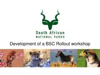 Development of a BSC Rollout workshop