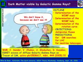 Dark Matter visible by Galactic Gamma Rays?