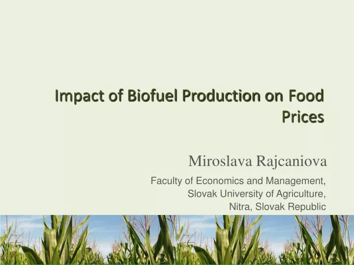 impact of biofuel production on food prices