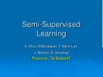 Semi-Supervised Learning - slide 1