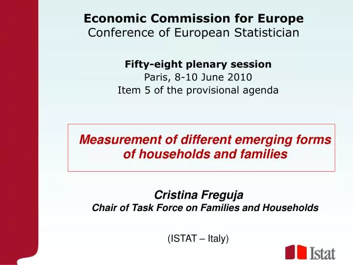 economic commission for europe conference of european statistician