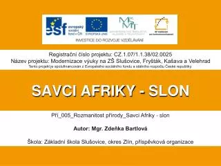 savci afriky slon