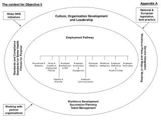 Culture, Organisation Development and Leadership
