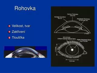 rohovka