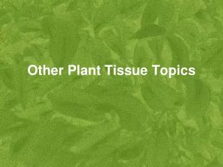 Other Plant Tissue Topics