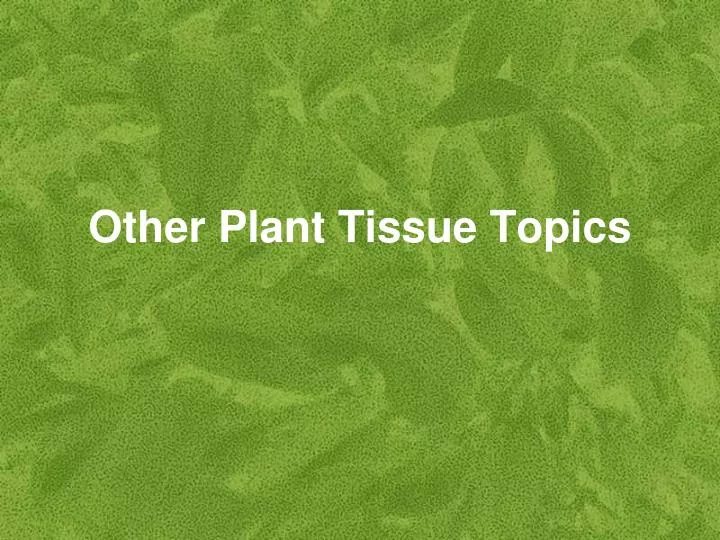 other plant tissue topics