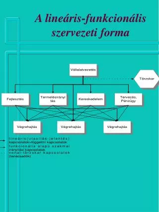 a line ris funkcion lis szervezeti forma