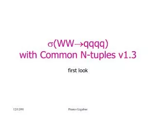 ? (WW ?qqqq) with Common N-tuples v1.3