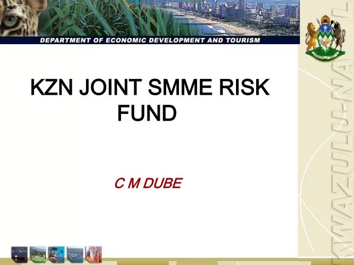 kzn joint smme risk fund