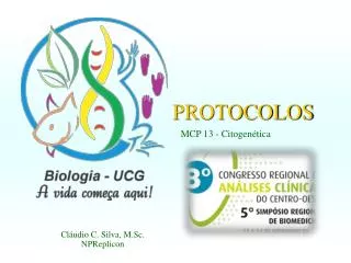 protocolos