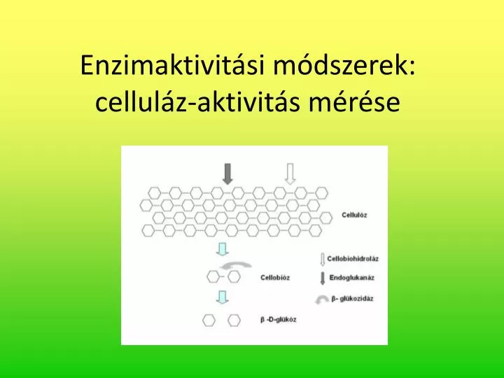 enzimaktivit si m dszerek cellul z aktivit s m r se