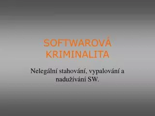 softwarov kriminalita
