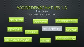 woordenschat les 1 3