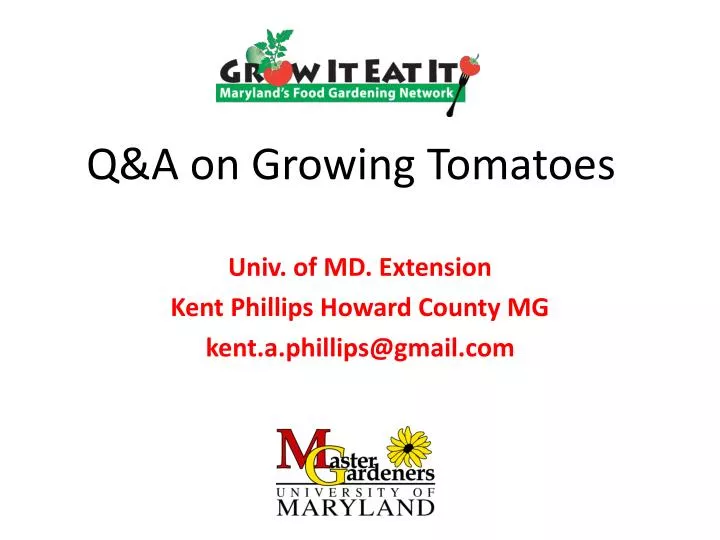 q a on growing tomatoes