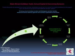 Black African-Caribbean Youth, Cultural Capital &amp; Overcoming Exclusion