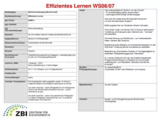 effizientes lernen ws06 07
