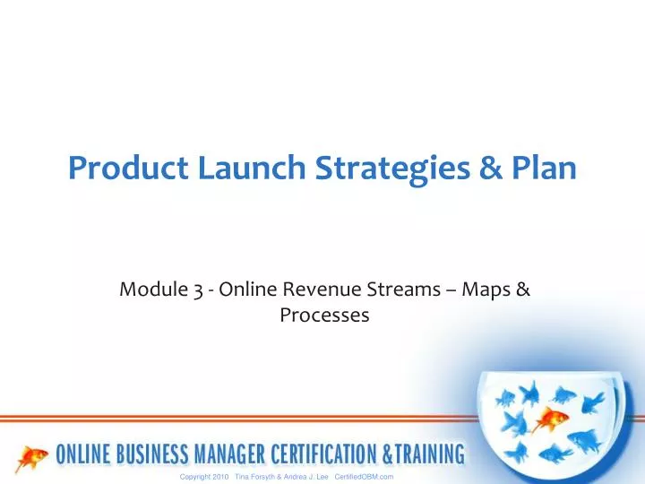 product launch strategies plan