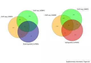 Supplementary information, Figure S3