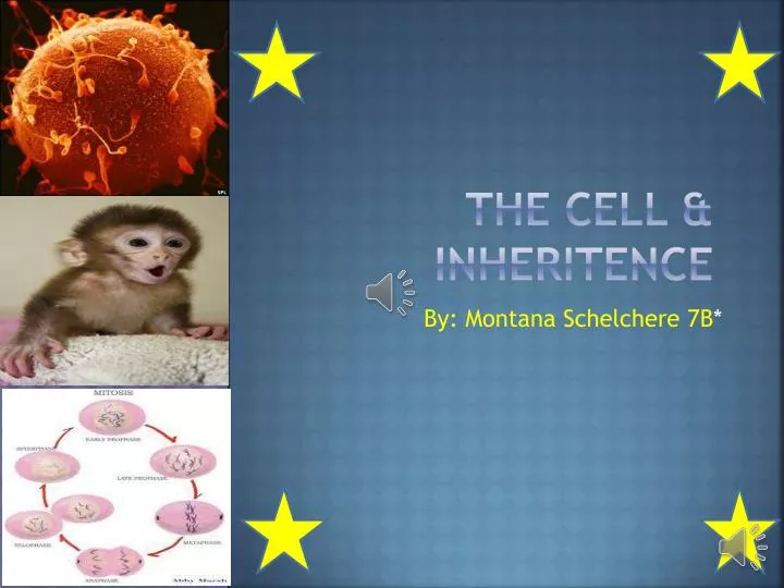 the cell inheritence