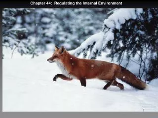 Chapter 44: Regulating the Internal Environment