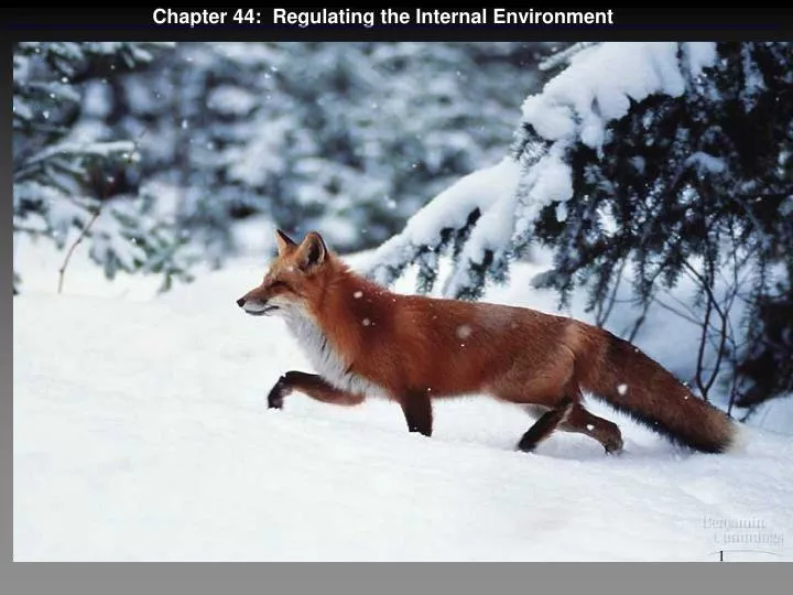 chapter 44 regulating the internal environment