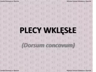 plecy wkl s e