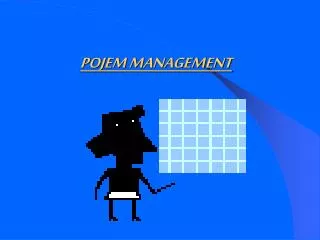 pojem management