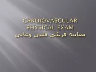 cardiovascular physical exam