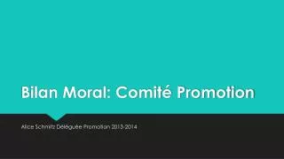 bilan moral comit promotion