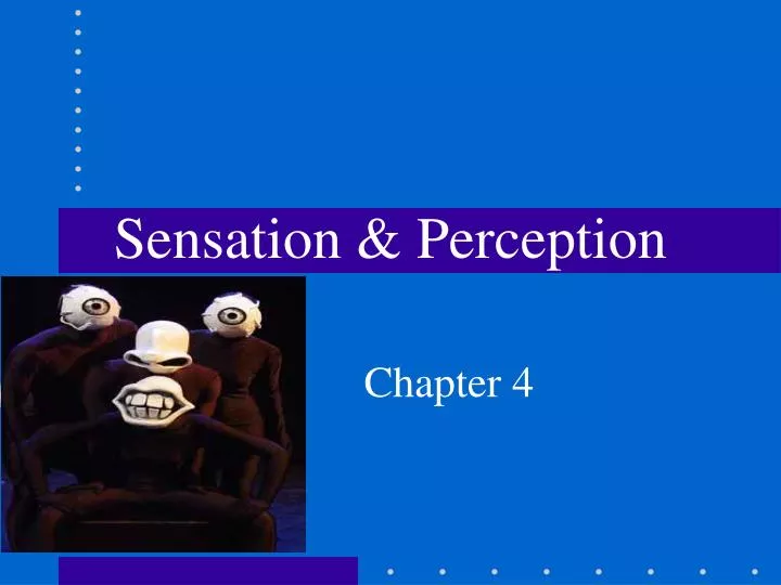 sensation perception