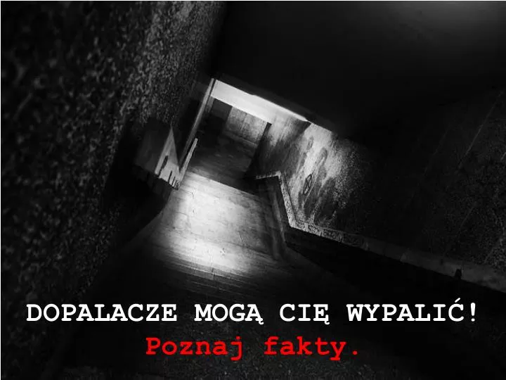 dopalacze mog ci wypali poznaj fakty