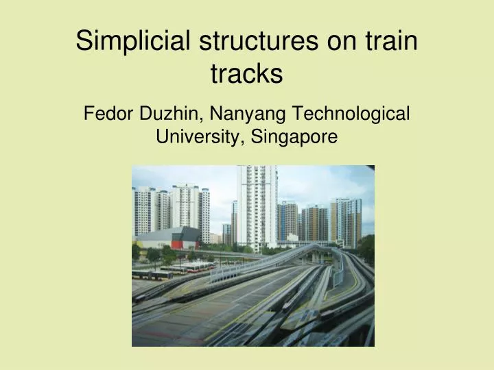 simplicial structures on train tracks