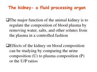 The kidney- a fluid processing organ
