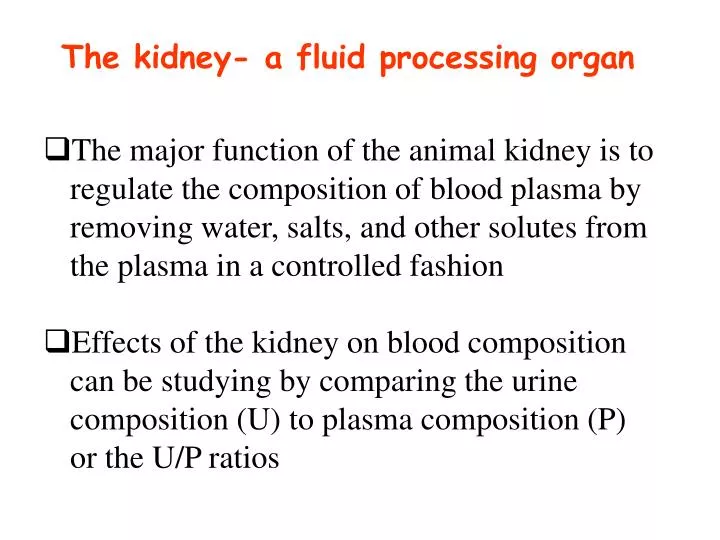 the kidney a fluid processing organ