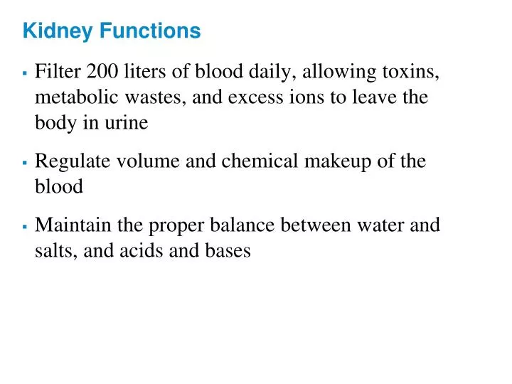 kidney functions