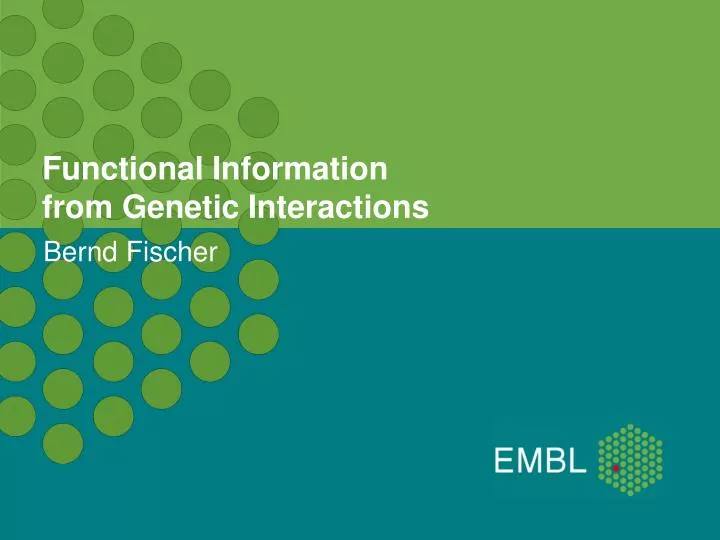functional information from genetic interactions