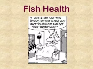 Fish Health