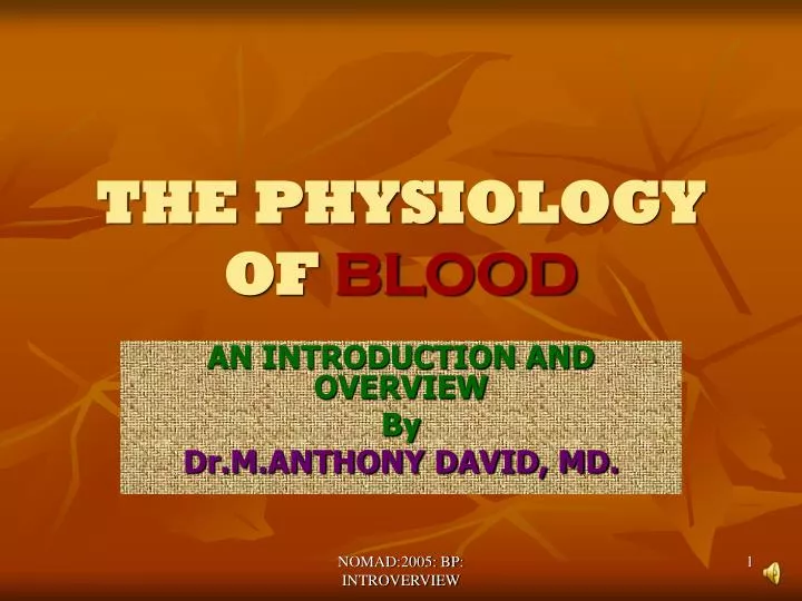 the physiology of blood