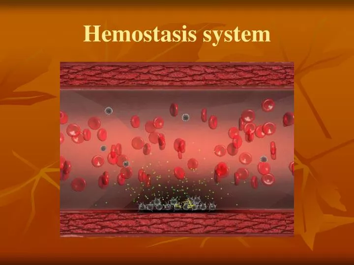 hemostasis system