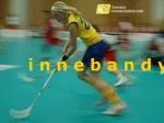 i n n e b a n d y - slide 1