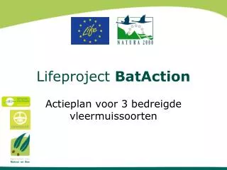 lifeproject bataction