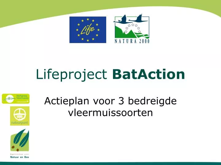 lifeproject bataction