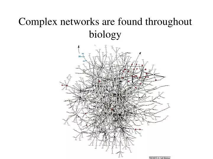 complex networks are found throughout biology