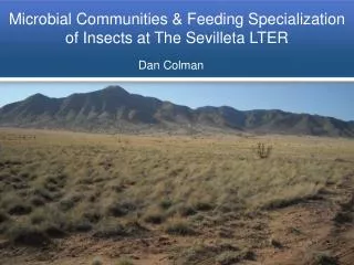 Microbial Communities &amp; Feeding Specialization of Insects at The Sevilleta LTER