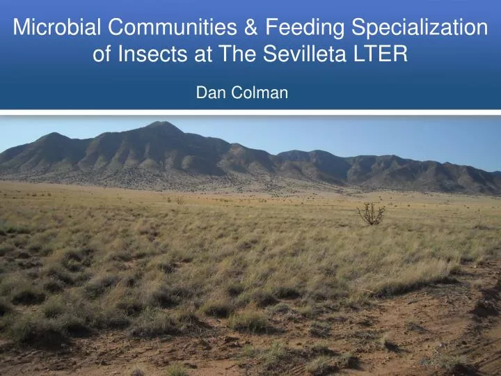 microbial communities feeding specialization of insects at the sevilleta lter